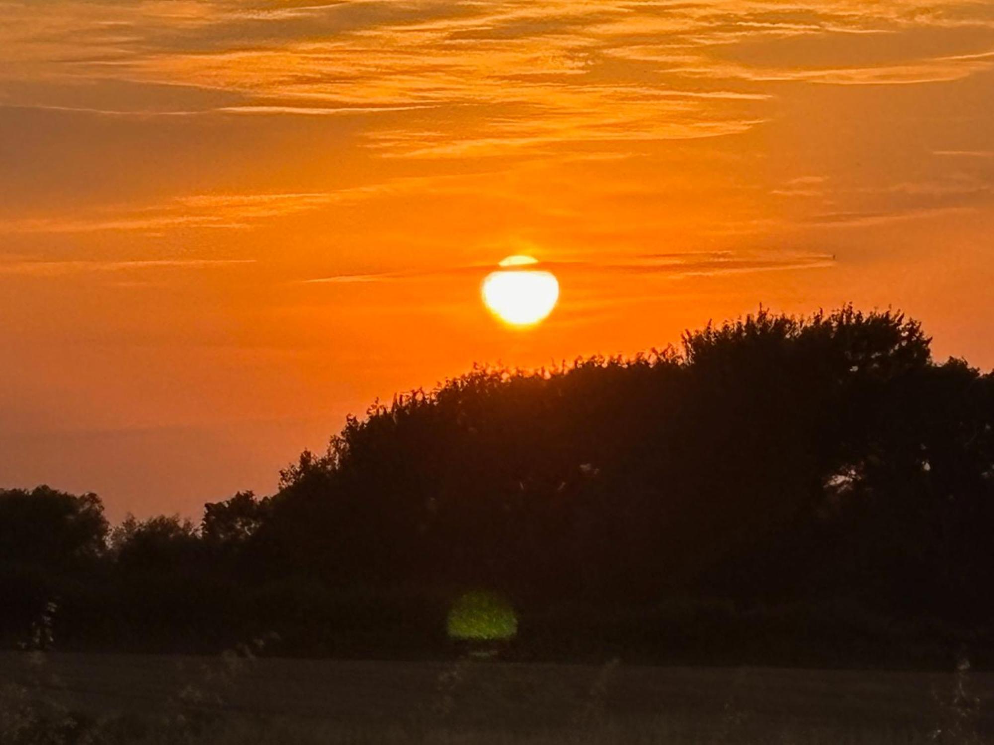 Rife Lodges Arundel Buitenkant foto